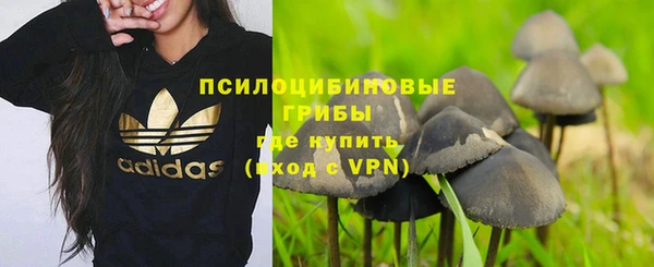 дмт Покачи