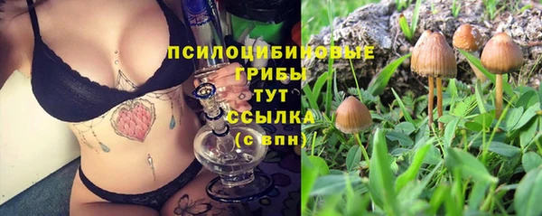 не бодяженный Медногорск