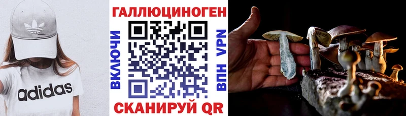 Псилоцибиновые грибы Magic Shrooms  купить наркотики цена  Шимановск 